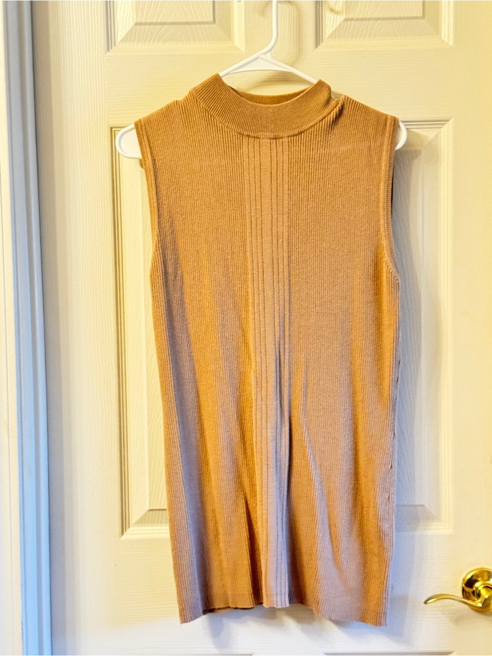 Ashley Stewart Sleeveless Ribbed Mock Neck Top in Camel